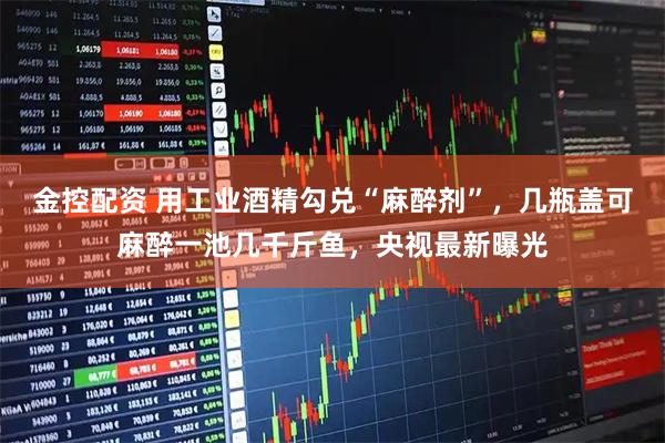 金控配资 用工业酒精勾兑“麻醉剂”，几瓶盖可麻醉一池几千斤鱼，央视最新曝光