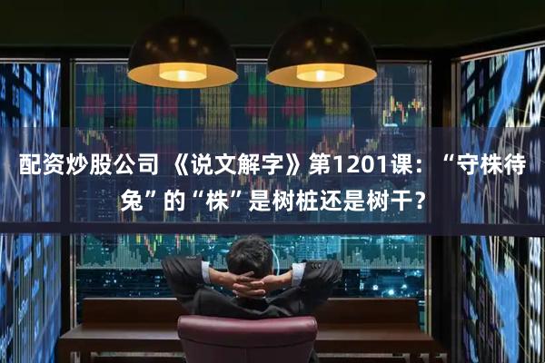 配资炒股公司 《说文解字》第1201课：“守株待兔”的“株”是树桩还是树干？